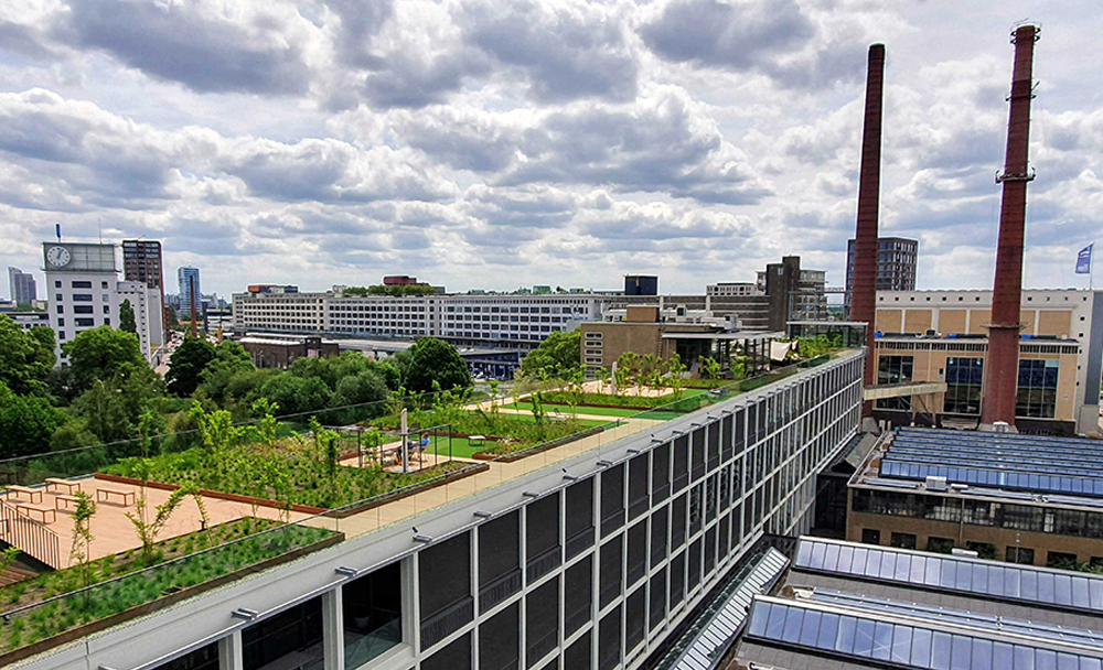 SyncForce-office-Strijp-T-Roofgarden